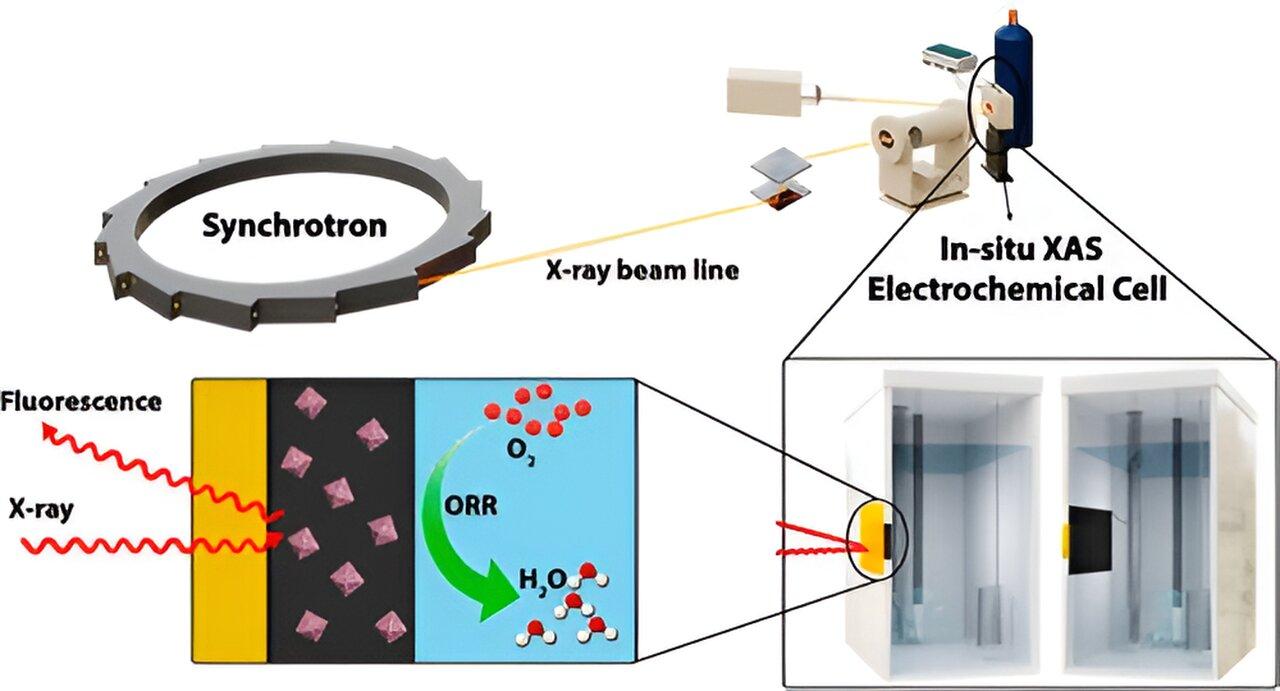 Estructura electrónica y actividad catalítica de nanopartículas tipo núcleo-coraza Pd@Pt dopadas con cobalto