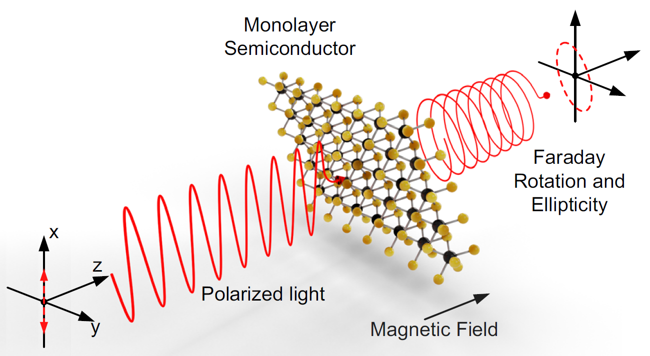 Rotación de Faraday gigante en semiconductores de espesor atómico