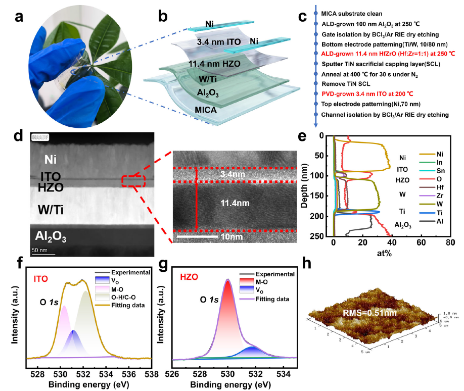 Transistores de efecto de campo de alto rendimiento con ferroeléctricos y canales ultradelgados para la electrónica flexible y transparente