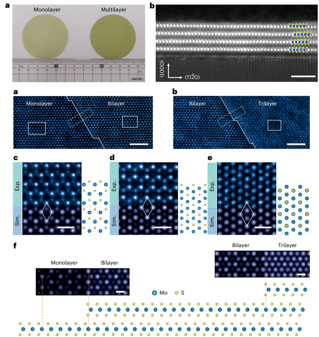 Crecimiento homo epitaxial a gran escala de MoS2 en un apilamiento romboédrico