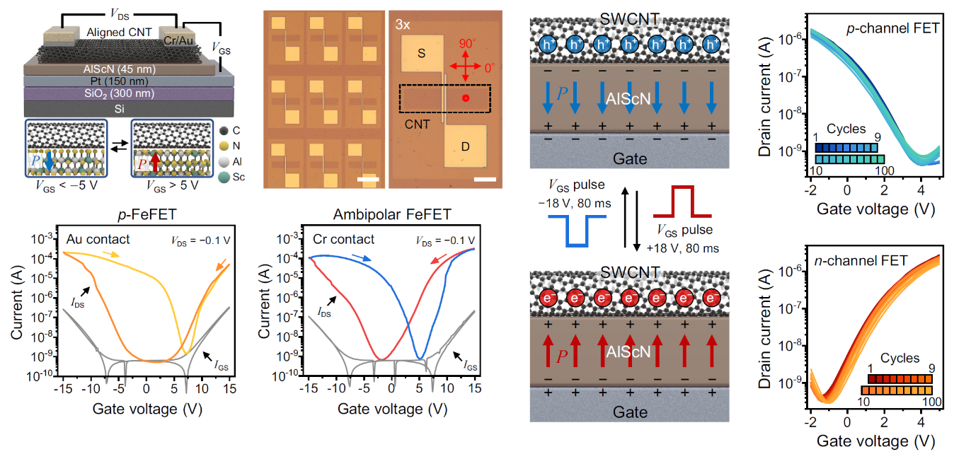 Transistores de efecto de campo ferroeléctricos reconfigurables con canales de nanotubos de carbono de pared simple