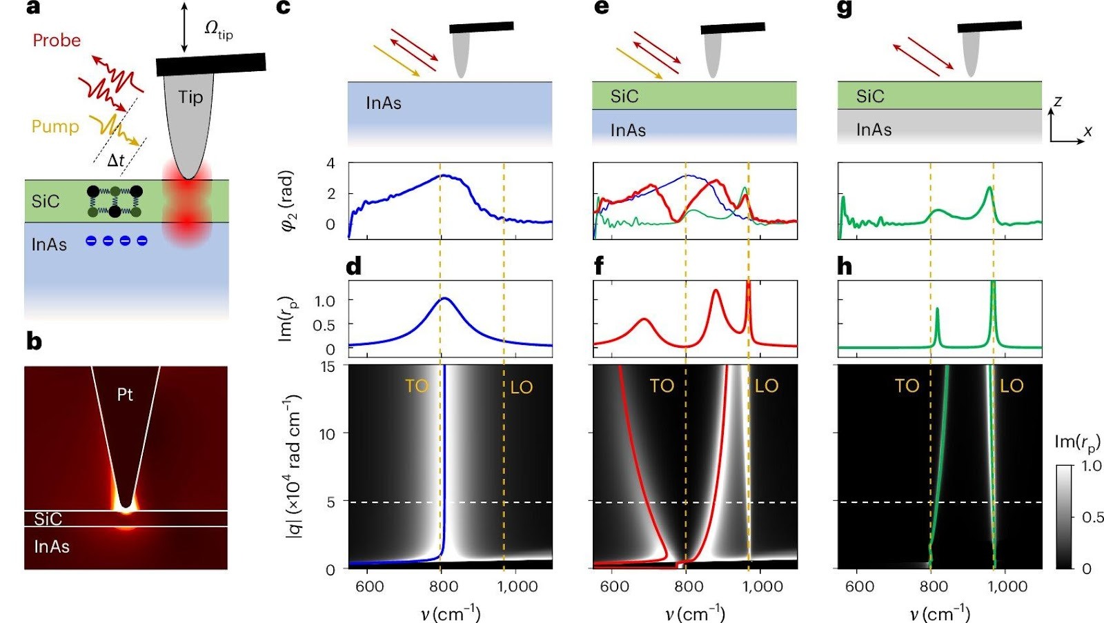 Real-space observation of ultrastrong coupling between optical phonons and surface plasmon polaritons