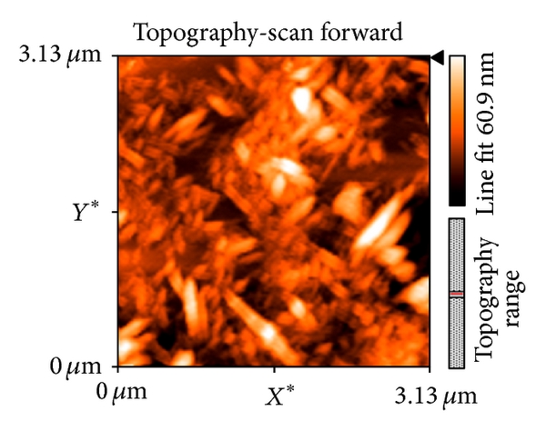 Imagen de topografía obtenida por AFM
