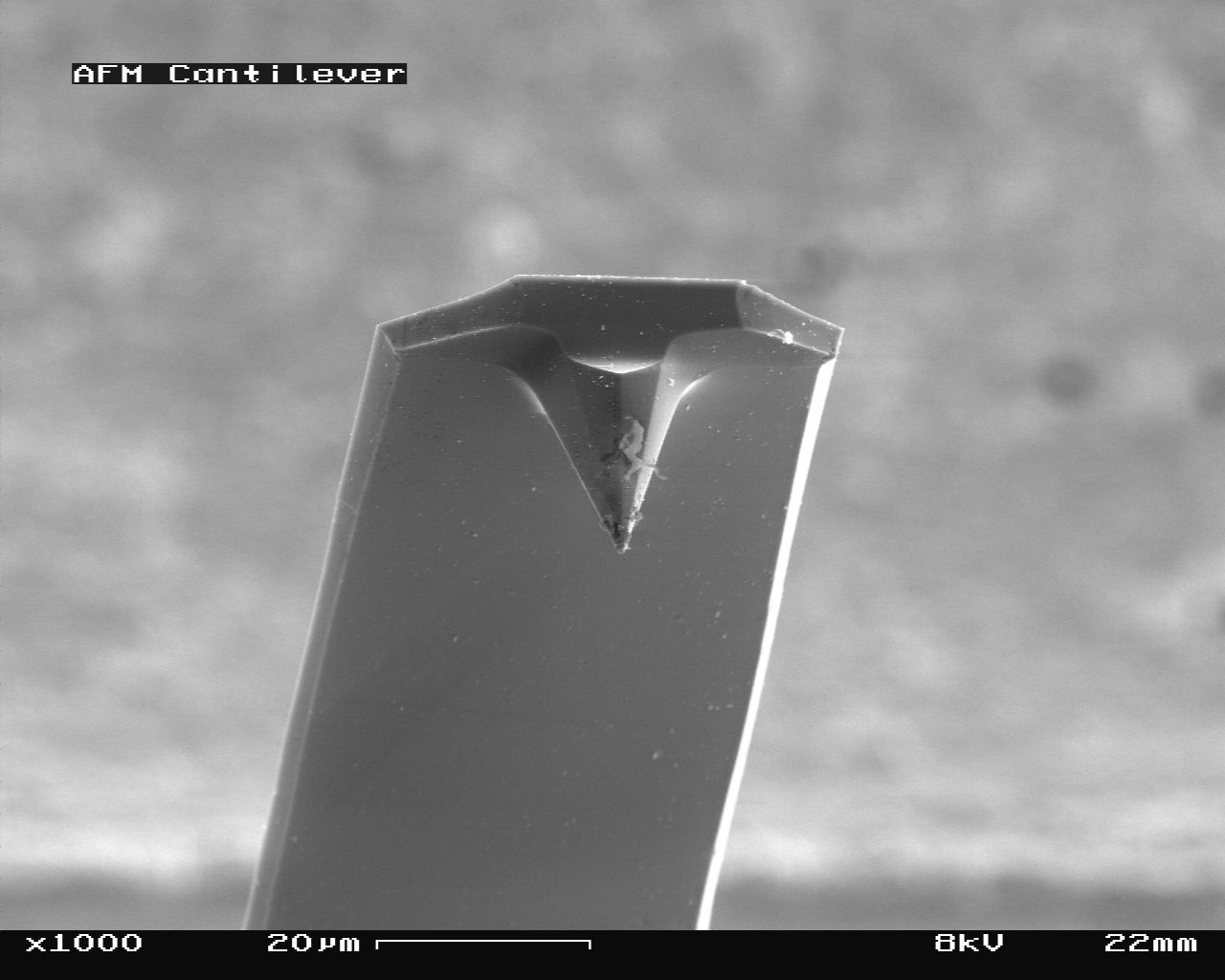 Punta y viga voladiza de AFM vistas en el microscopio electrónico de barrido